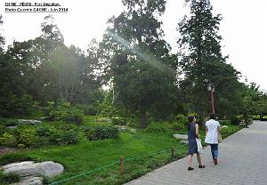 Pekin Jingshan 47